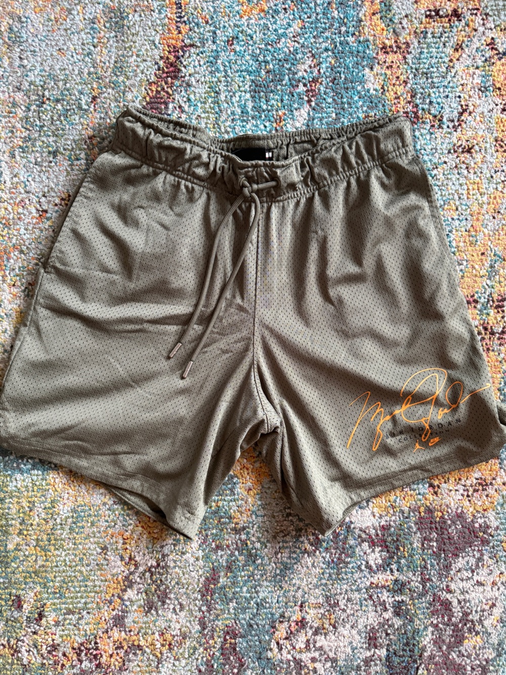 Jordan GFX Mesh Shorts